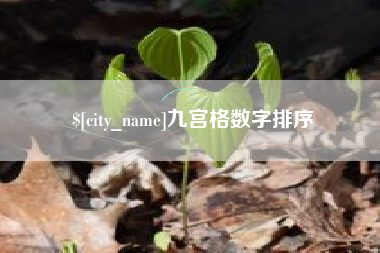 灵宝九宫格数字排序