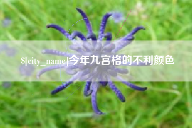 灵宝今年九宫格的不利颜色
