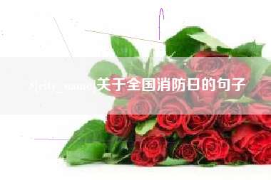 灵宝关于全国消防日的句子