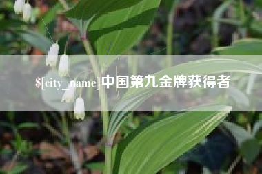 灵宝中国第九金牌获得者