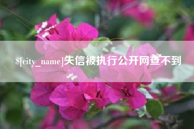灵宝失信被执行公开网查不到