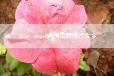 灵宝中国金牌图片大全