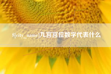 灵宝九宫宫位数字代表什么