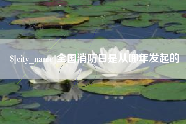 灵宝全国消防日是从哪年发起的