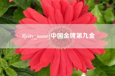 灵宝中国金牌第九金