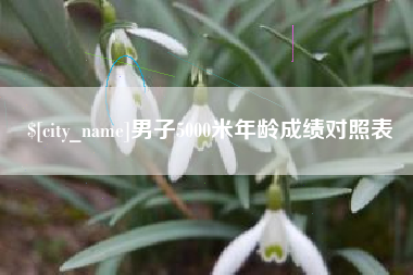 灵宝男子5000米年龄成绩对照表