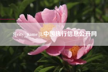 灵宝1.中国执行信息公开网