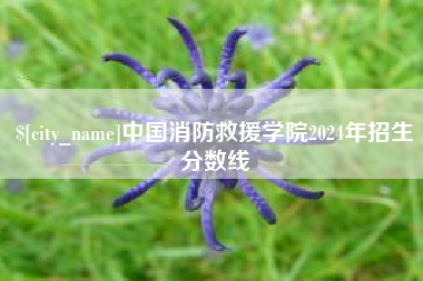 灵宝中国消防救援学院2024年招生分数线