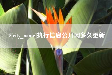 灵宝执行信息公开网多久更新