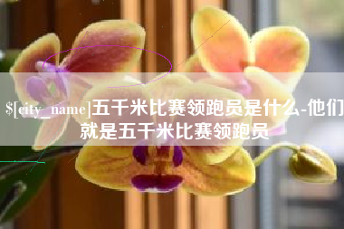 灵宝五千米比赛领跑员是什么-他们就是五千米比赛领跑员