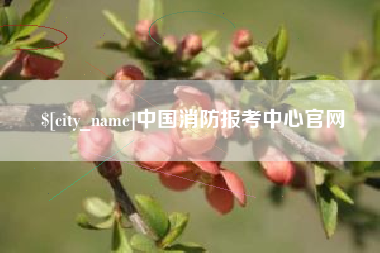 灵宝中国消防报考中心官网
