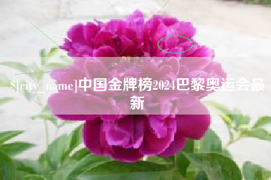 灵宝中国金牌榜2024巴黎奥运会最新