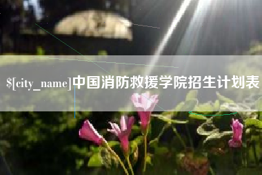 灵宝中国消防救援学院招生计划表