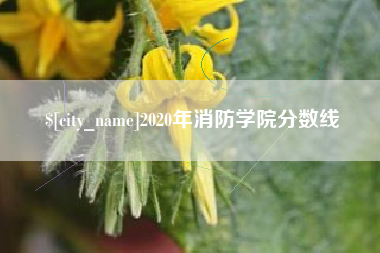 灵宝2020年消防学院分数线