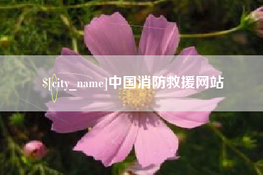 灵宝中国消防救援网站