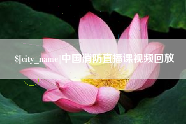 灵宝中国消防直播课视频回放