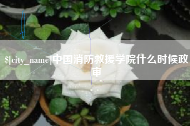 灵宝中国消防救援学院什么时候政审