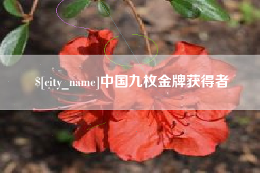 灵宝中国九枚金牌获得者