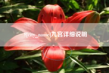 灵宝九宫详细说明
