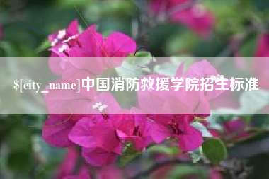 灵宝中国消防救援学院招生标准