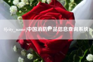 灵宝中国消防产品信息查询系统1