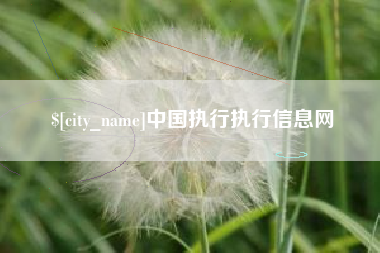 灵宝中国执行执行信息网