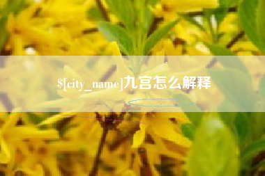 灵宝九宫怎么解释