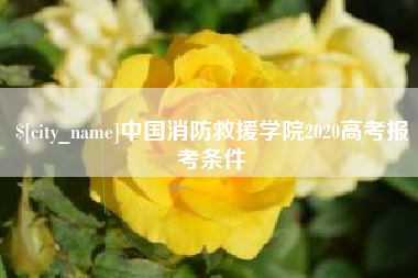 灵宝中国消防救援学院2020高考报考条件