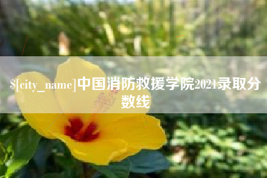 灵宝中国消防救援学院2021录取分数线
