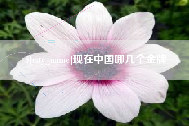 灵宝现在中国哪几个金牌