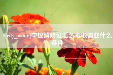 灵宝中控消防证怎么考取需要什么条件