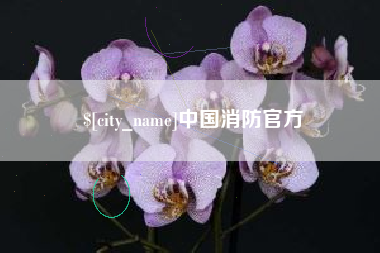 灵宝中国消防官方