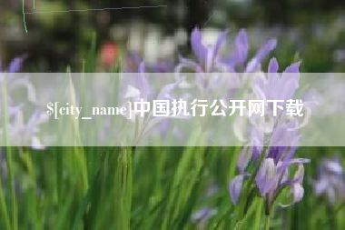 灵宝中国执行公开网下载