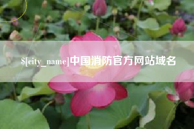 灵宝中国消防官方网站域名