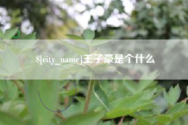 灵宝王子豪是个什么
