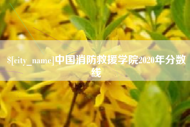 灵宝中国消防救援学院2020年分数线