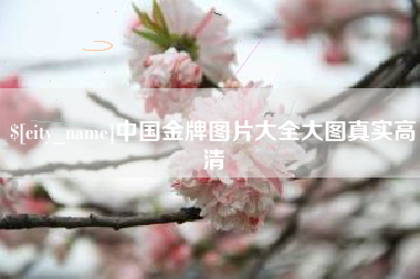 灵宝中国金牌图片大全大图真实高清