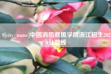 灵宝中国消防救援学院浙江招生2020分数线