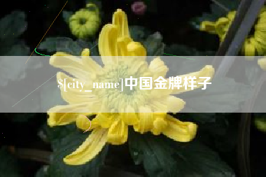灵宝中国金牌样子