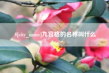 灵宝九宫格的名称叫什么