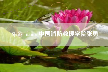 灵宝中国消防救援学院张勇