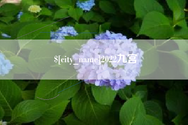灵宝2022九宫