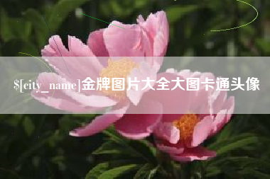 灵宝金牌图片大全大图卡通头像