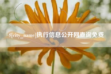 灵宝执行信息公开网查询免费