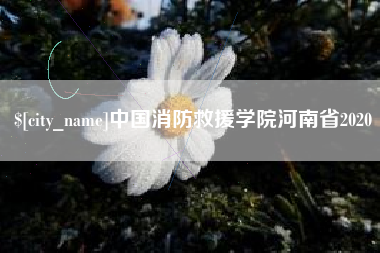 灵宝中国消防救援学院河南省2020
